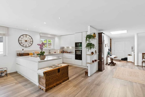 En exclusivité ! Immeuble mixte divisé en deux logements de plain-pied 2