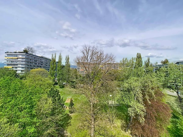 Vaste appartement de 7 pièces au dernier étage - Budé 12