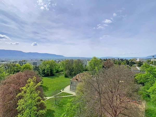 Vaste appartement de 7 pièces au dernier étage - Budé 13