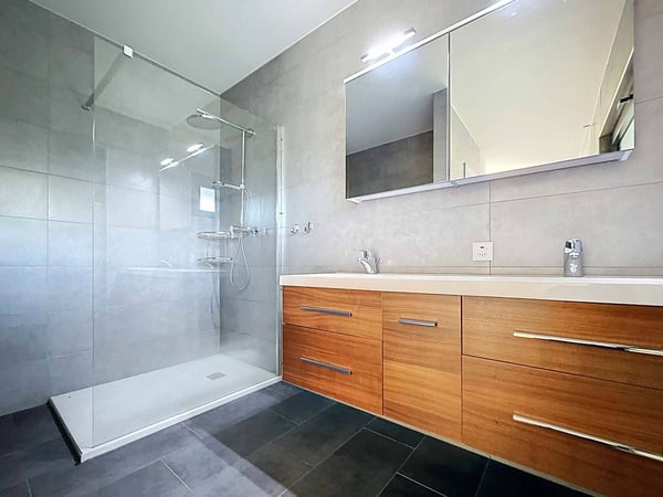 Somptueuse vue imprenable sur les Alpes et le jet d'eau de Genève 8