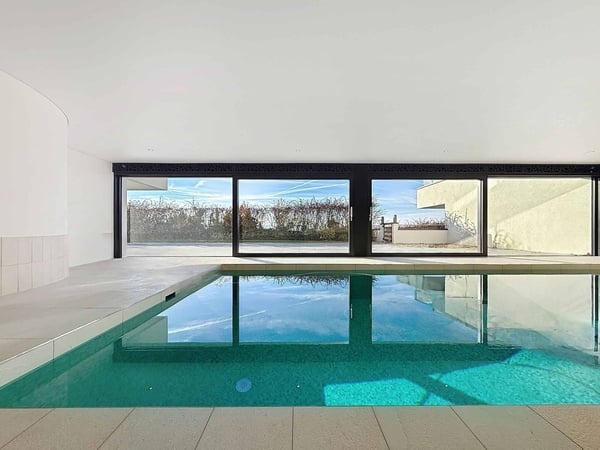 Somptueuse vue imprenable sur les Alpes et le jet d'eau de Genève 12