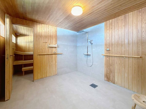 Somptueuse vue imprenable sur les Alpes et le jet d'eau de Genève 13