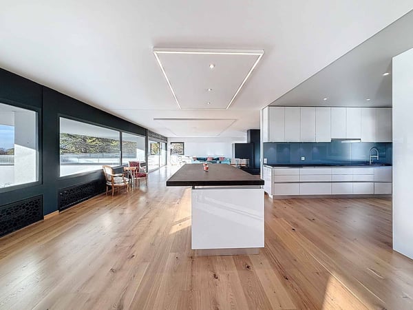 Somptueuse vue imprenable sur les Alpes et le jet d'eau de Genève 4