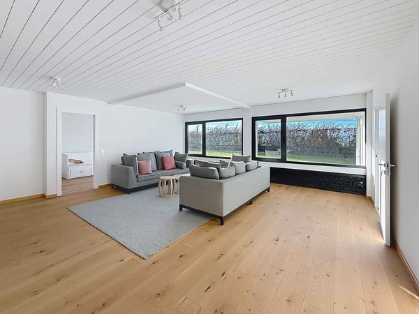 Somptueuse vue imprenable sur les Alpes et le jet d'eau de Genève 11