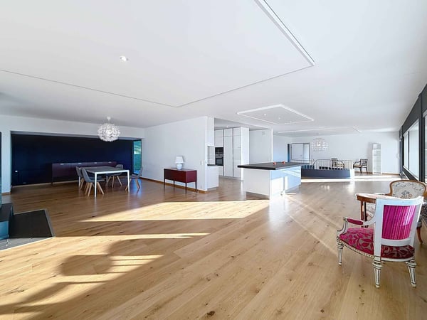 Somptueuse vue imprenable sur les Alpes et le jet d'eau de Genève 2