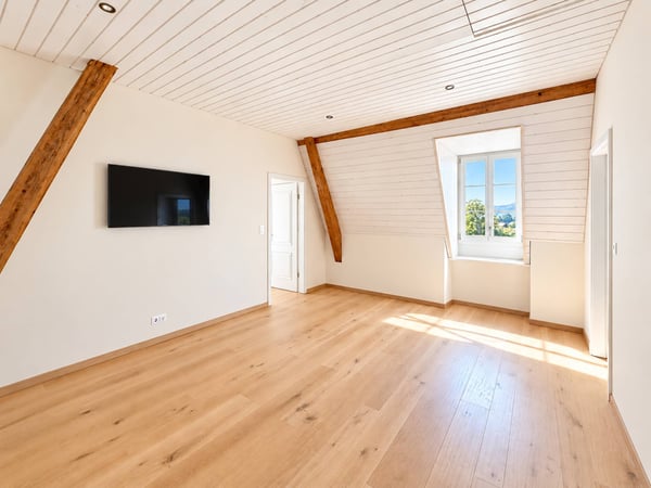 Une vie de château au coeur de la nature avec vue sur le lac 8