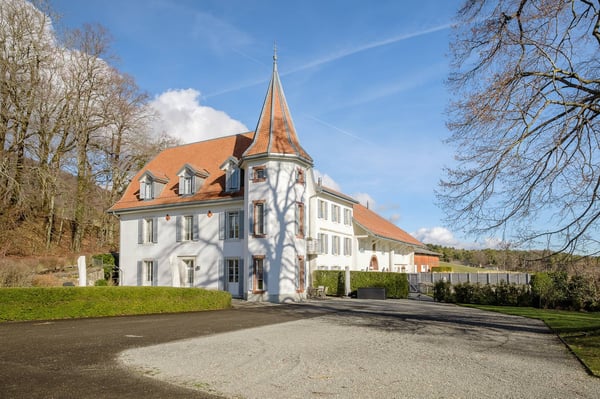 Une vie de château au coeur de la nature avec vue sur le lac 1