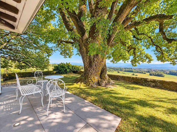 Une vie de château au coeur de la nature avec vue sur le lac 9