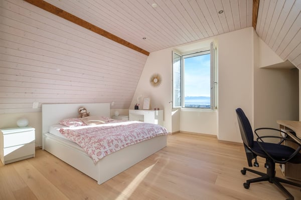 Une vie de château au coeur de la nature avec vue sur le lac 11