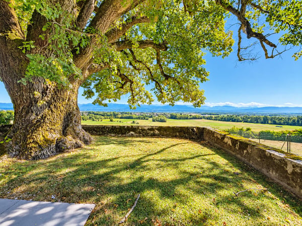 Une vie de château au coeur de la nature avec vue sur le lac 1