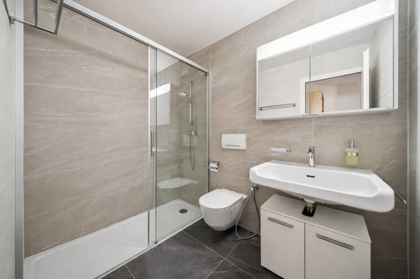 Appartement familial de 5.5 pièces avec vue sur le lac 7