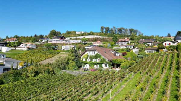 Demeure vigneronne d'exception de plus de 450 m2 avec vue imprenable 12
