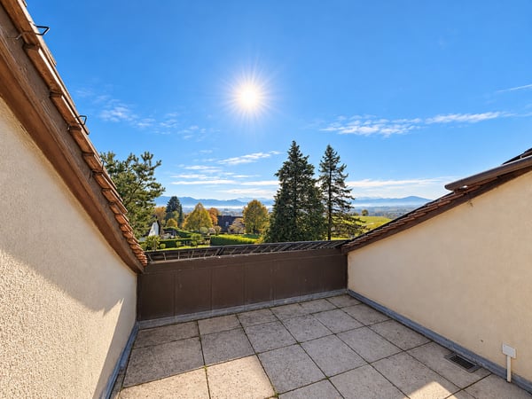 Propriété de Maître à la vue sur le Léman et le Jura 9
