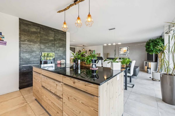 Élégante villa jumelle contemporaine 3