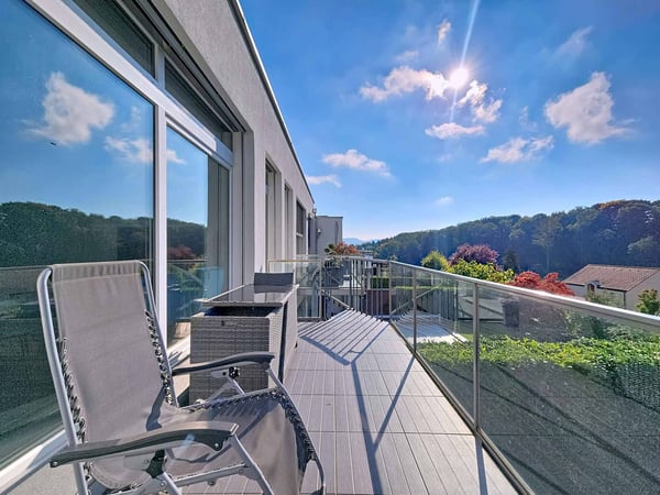 Maison contiguë de 1.5 pièces avec jardin et vignes 11