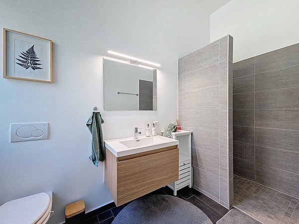 Maison contiguë de 1.5 pièces avec jardin et vignes 9