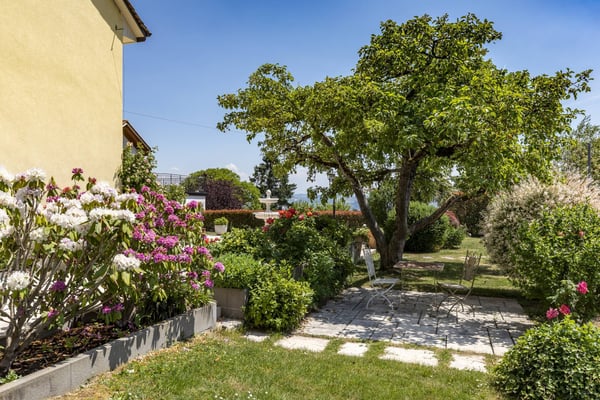 Superbe maison villageoise de 3 logements avec terrasse et jardin 12