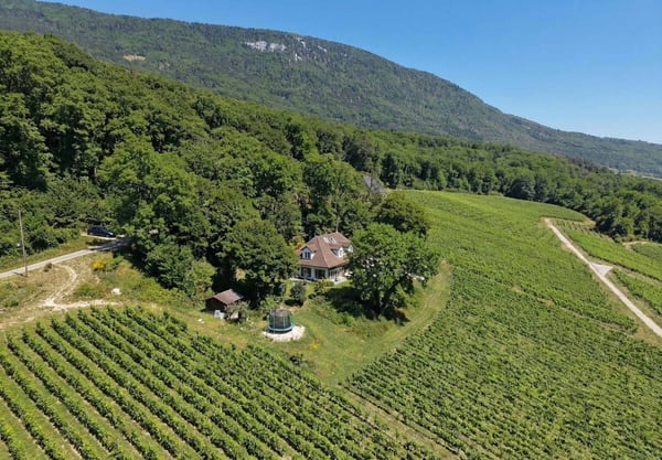 Villa de charme avec vue panoramique sur le lac de Neuchâtel 11