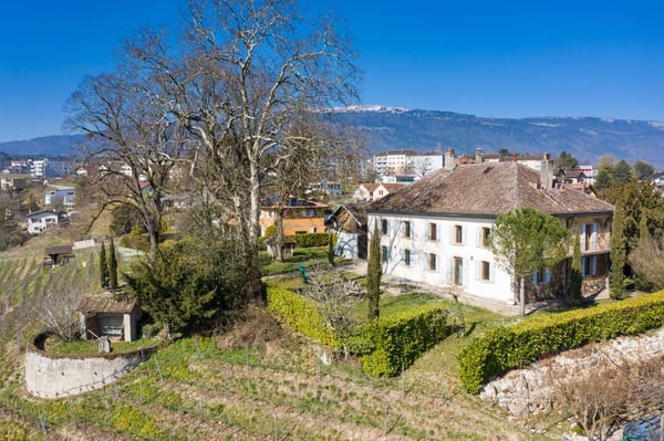 Maison bourgeoise avec vignoble 11