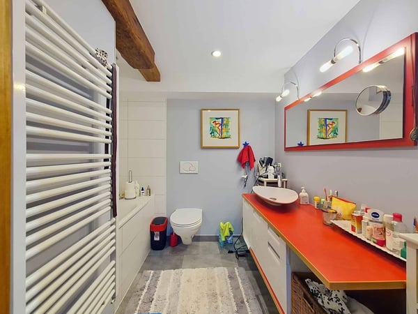 Maison villageoise avec deux appartements au coeur de Rances 6