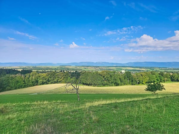 Villa de charme de 4.5 pièces au cur d'un cadre verdoyant 11