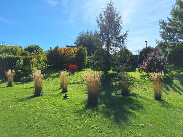 VILLA CONTEMPORAINE MINERGIE DANS UN ENVIRONNEMENT PRIVILÉGIÉ 5