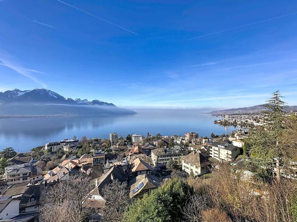 Magnifique attique avec vue panoramique sur le lac et les Alpes 5