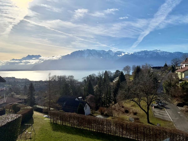 Magnifique attique en duplex avec vue imprenable sur le lac 2