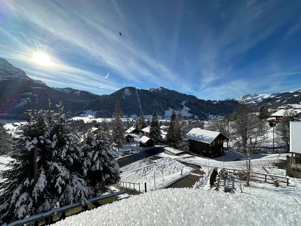 Magnifique chalet de 2.5 pièces avec vue imprenable sur les montagnes 4