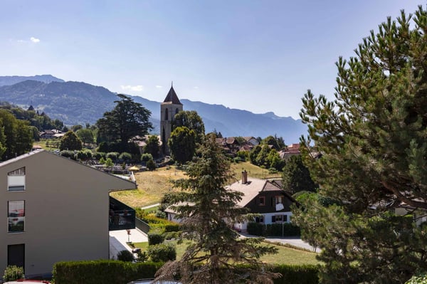 Superbe propriété de 7,5 pièces au cur d'un quartier très recherché à Saint-Légier 8