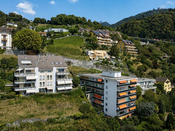 Charmant 2.5 pièces avec grande terrasse et vue sur le lac 5