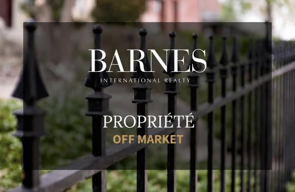 Magnifique propriété avec vaste terrain 2