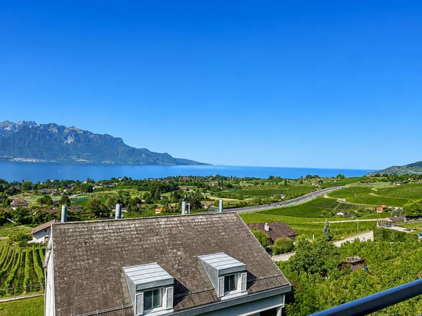 Villa jumelle de 5.5 pièces, avec vue panoramique sur le lac et les Alpes ! 10
