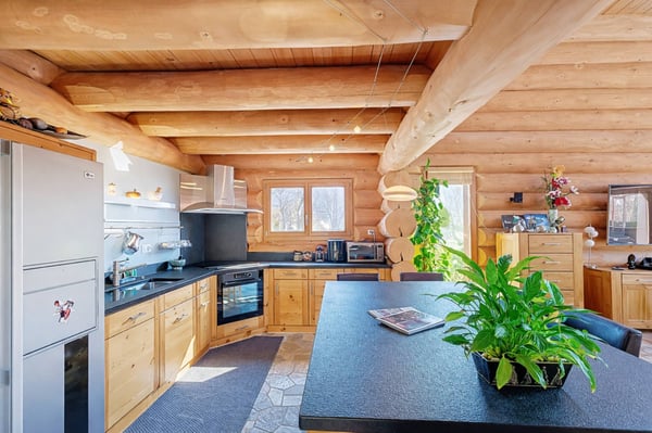 Maison de caractère au cur de Branson 4