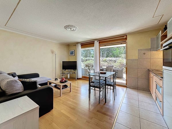 PLANS-MAYENS - Charmant 1.5 pièces à deux pas des pistes de ski 4