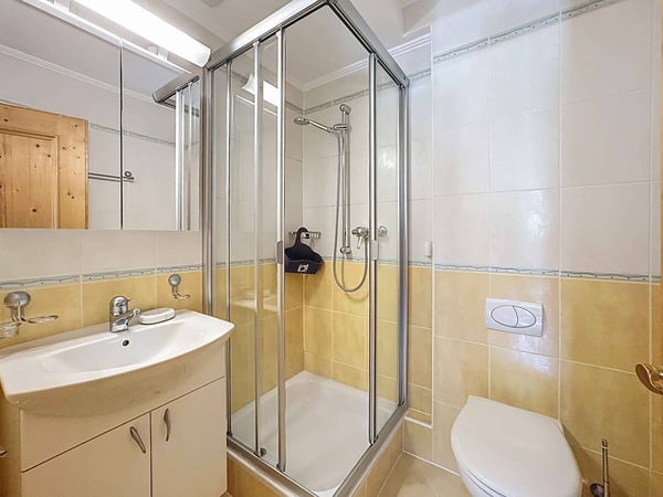 PLANS-MAYENS - Charmant 1.5 pièces à deux pas des pistes de ski 6