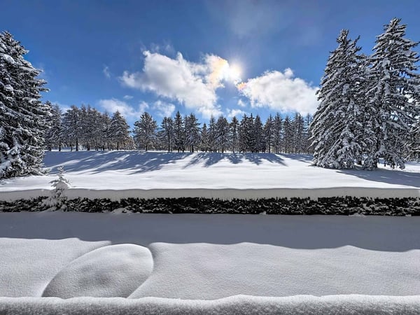 Appartement de 1.5 pièces face au golf avec très belle vue 1