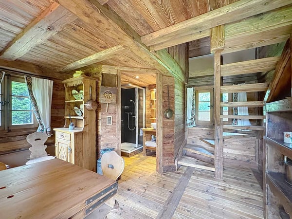 Splendide chalet avec mayen sur une magnifique parcelle 10