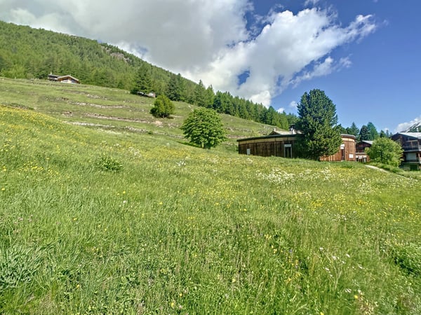Terrain à bâtir parfaitement situé 5