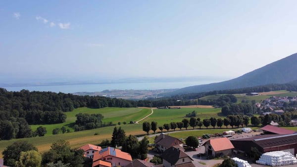 Bâtisse de caractère à Rochefort, un projet unique à valoriser 4