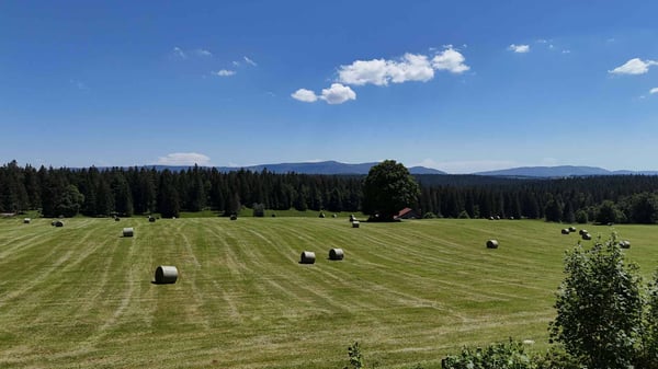 Une parenthèse hors du temps au cur du Parc naturel des Verrières 12