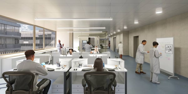 Surfaces artisanales neuves dès 400m2 - EVOLIS 6