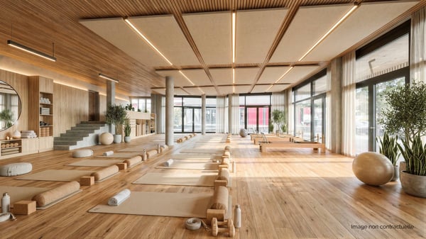 Arcade, showroom, bureaux de 184 m2 à louer à Gland 1