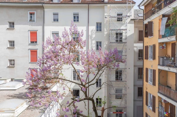 Immeuble de standing entièrement rénové 2'700 m2 de bureaux à louer 13