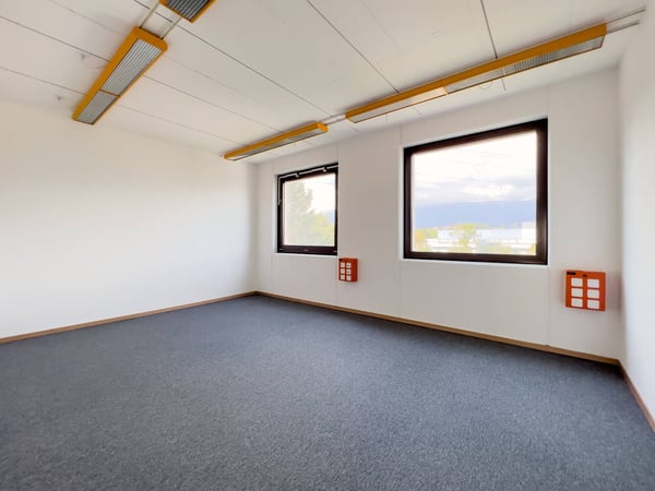 Laboratoire, production, atelier de 420 m2 à louer à Satigny 4