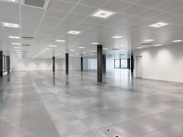 Magnifiques surfaces commerciales/bureaux à louer à Plan-les-Ouates 7