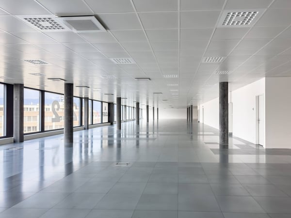 Magnifiques surfaces commerciales/bureaux à louer à Plan-les-Ouates 5