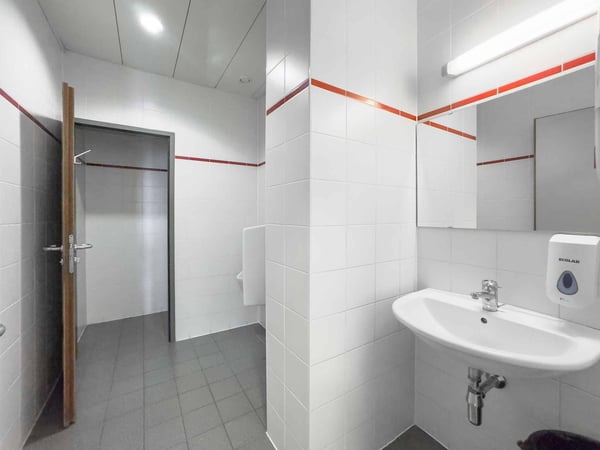 Bureau lumineux de 200m² à Carouge 8