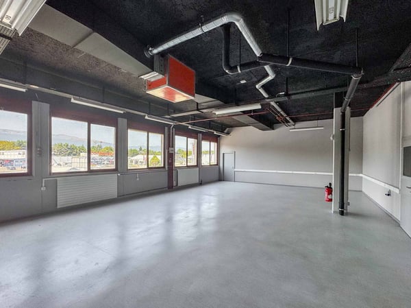 Atelier lumineux de 365 m² à Meyrin 1