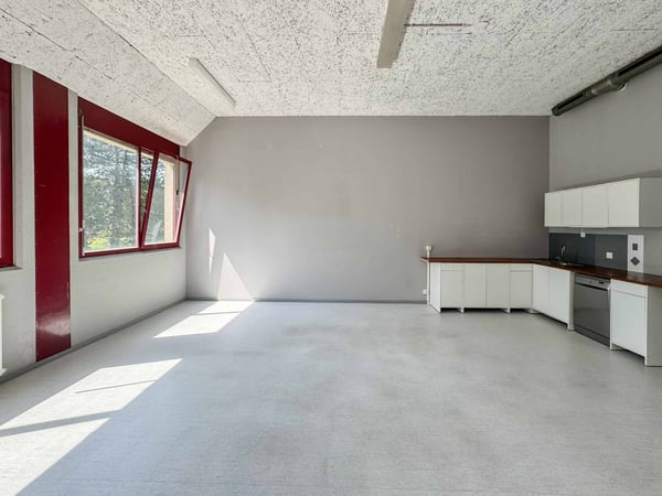 Atelier lumineux de 365 m² à Meyrin 4